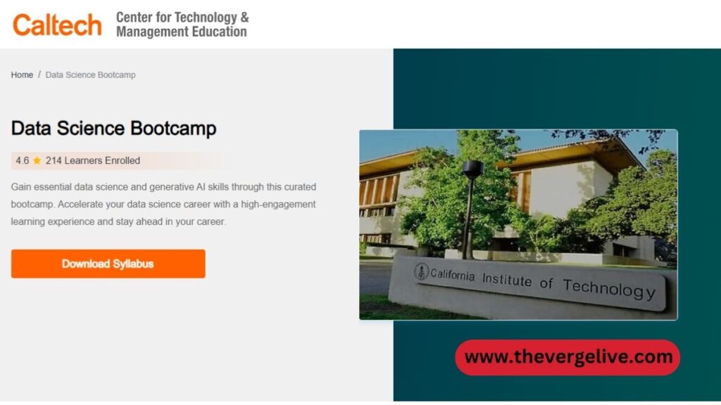 Bootcamps