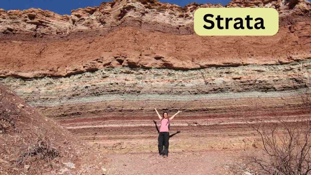 Strata
